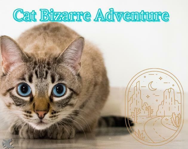 cat bizarre adventure