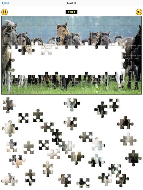 Puzzle Collection: Animals