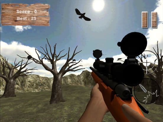 Real Jungle Birds Hunting