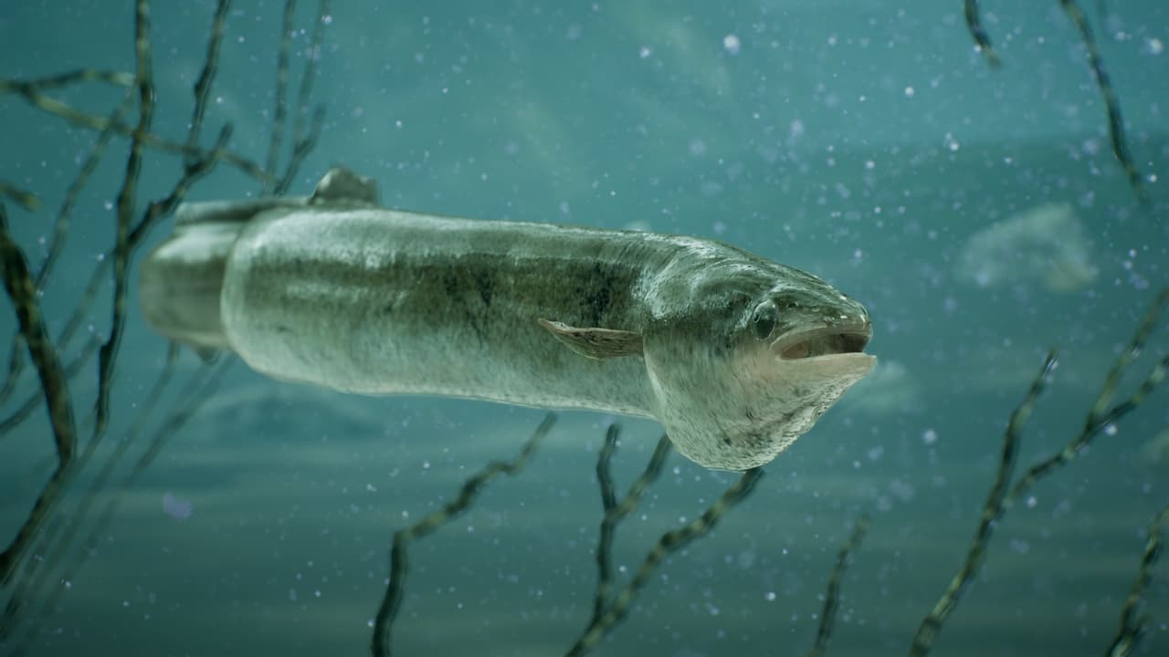 The Catch: Carp & Coarse screenshot 5