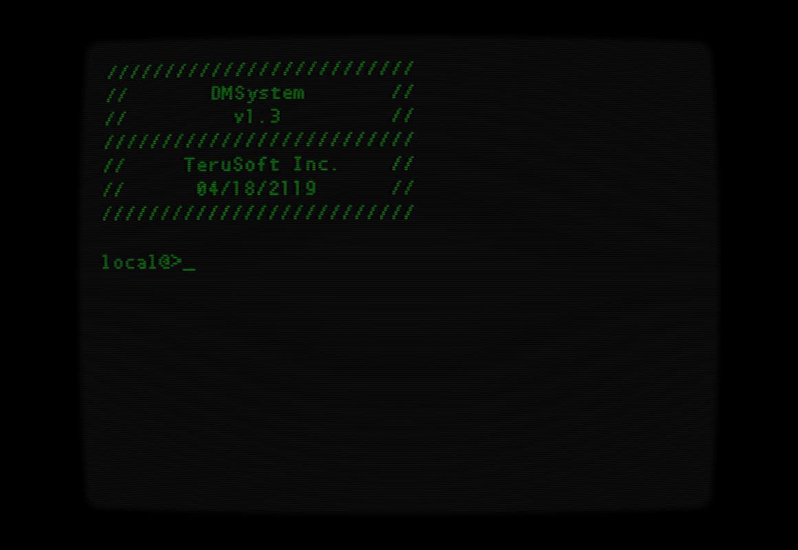 DMSystem screenshot 3