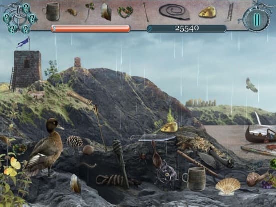 Viking Mystery