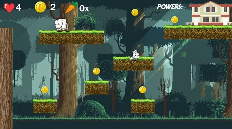 Rabbit - an adventure in the forest
