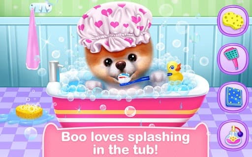 Boo - The Worlds Cutest Dog screenshot 4