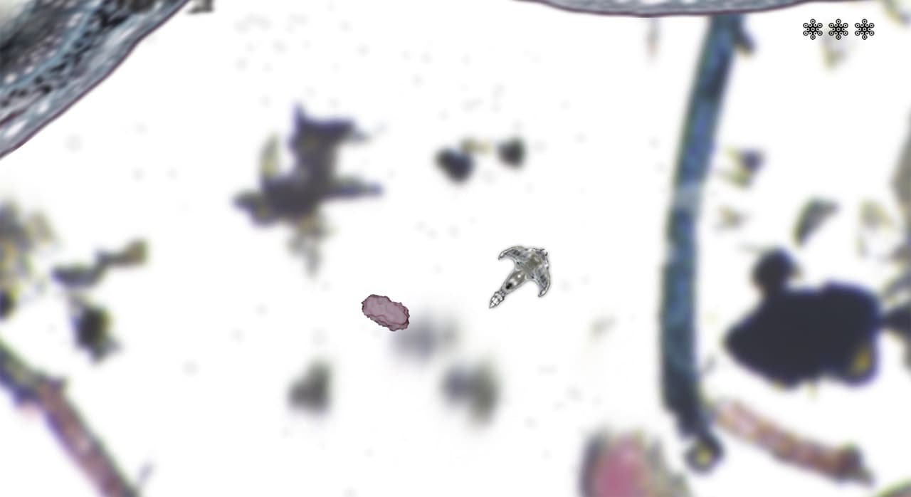 My Microscopic Pet