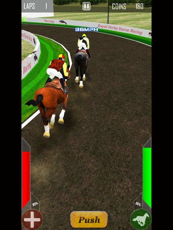 Royal Derby Horse Racing screenshot 3