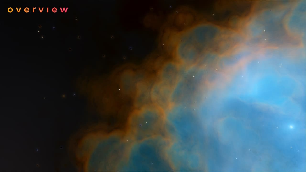 OVERVIEW screenshot 4
