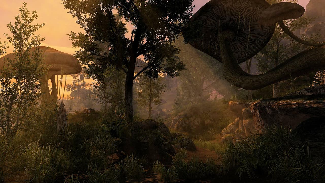 The Elder Scrolls Renewal: Skywind (TES Renewal) screenshot 5