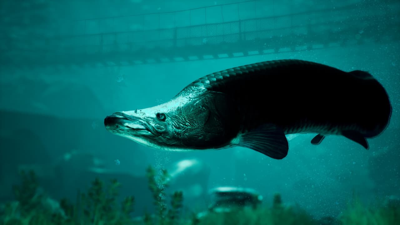 The Catch: Carp & Coarse screenshot 4