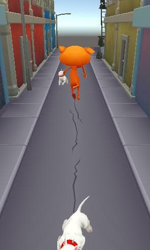 Gatinho Run
