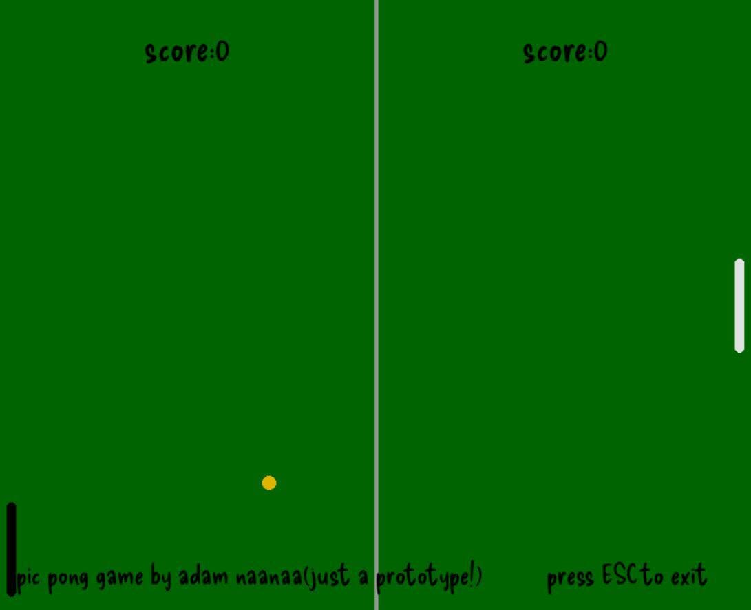 adam pic pong