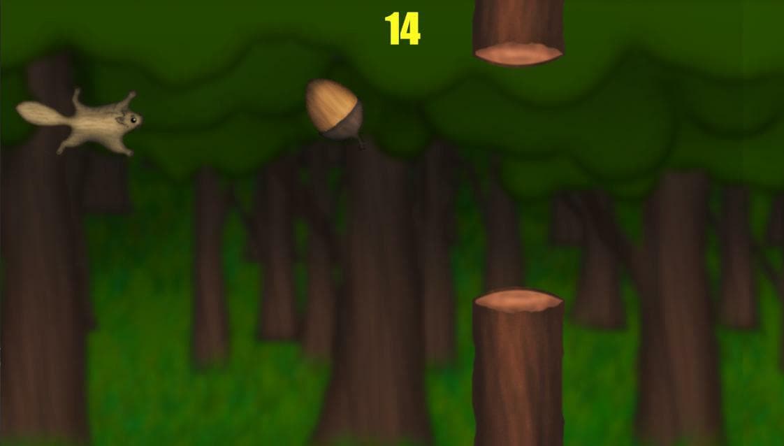 Soarin Squirrel