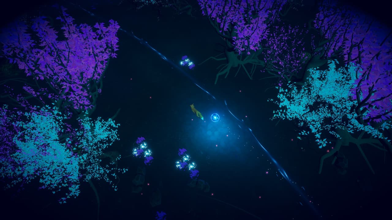 The Light Path (Rengifs)