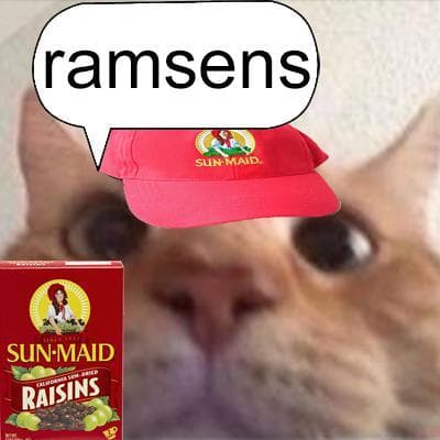 cats with snacks and a car screenshot 3