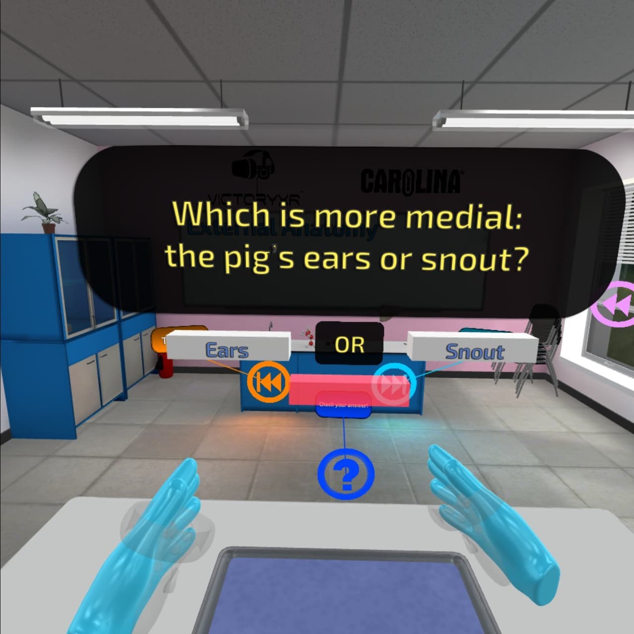 VR Pig Dissection: Hoggin the Scalpel screenshot 3
