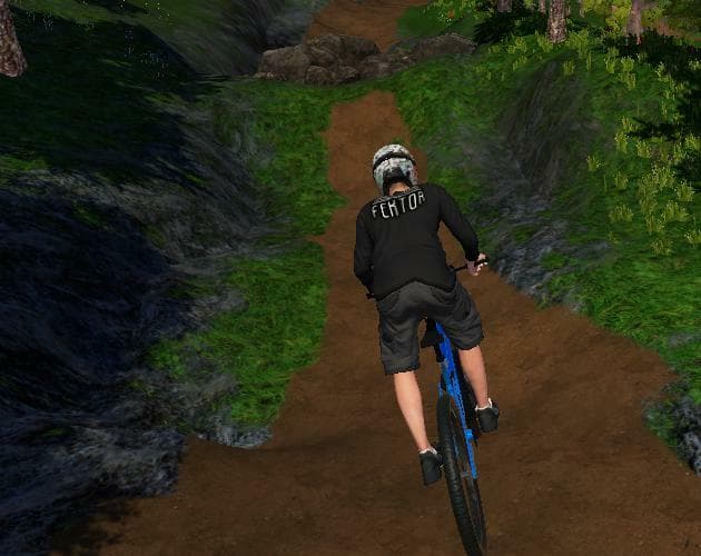 Downhill Racer