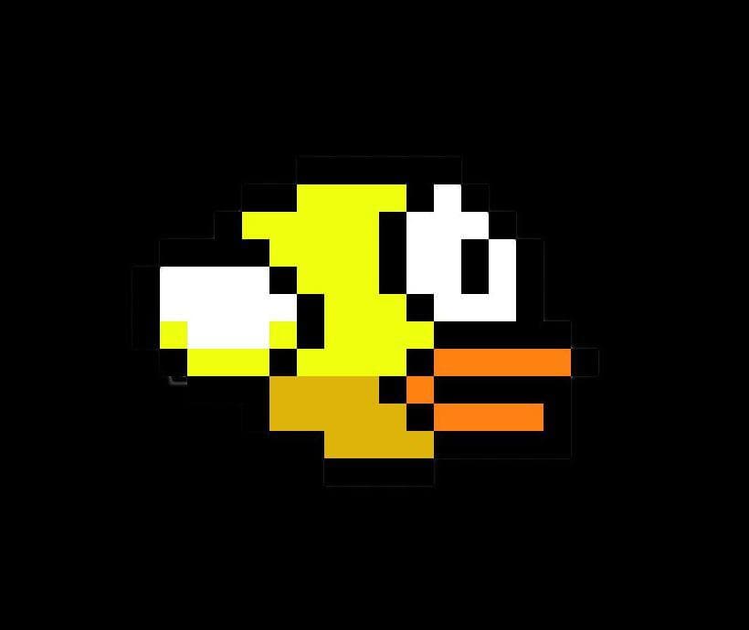 FleppiBurd