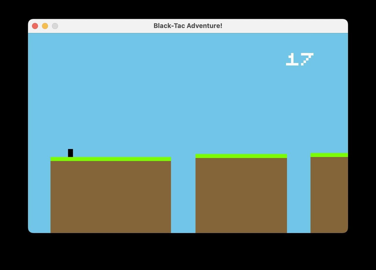 Black Tac Adventure screenshot 2