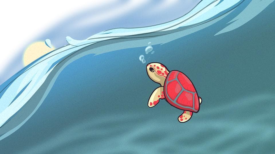 Turtles! screenshot 3