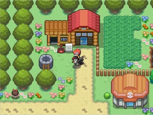 Pokémon World EX screenshot 4