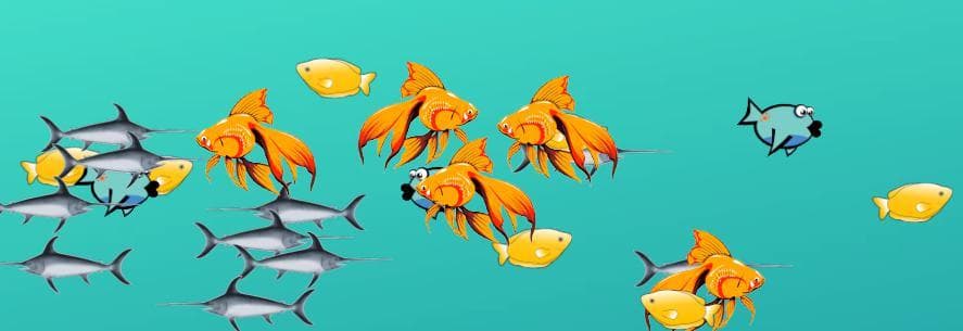 Colorful Fish Catcher