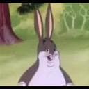 Big Chungus (rainbowdeb)