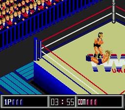 Thunder Pro Wrestling Retsuden