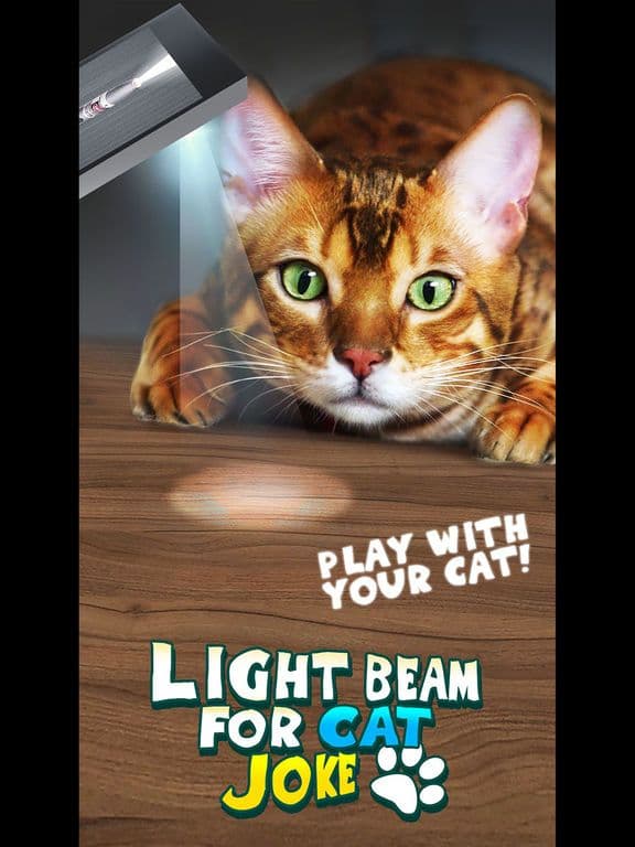 Light Beam For Cat Joke screenshot 2
