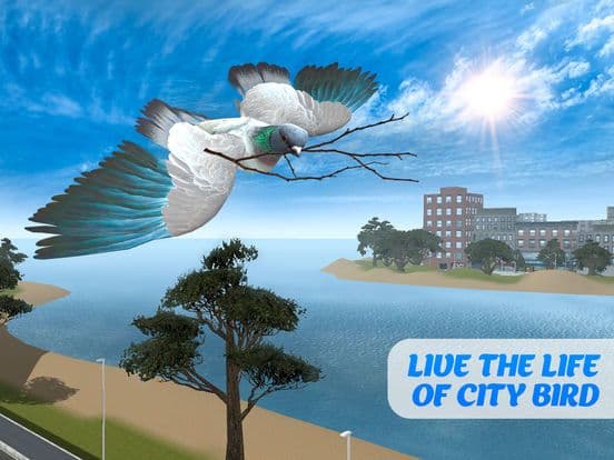 Pigeon Bird Survival Simulator 3D screenshot 2