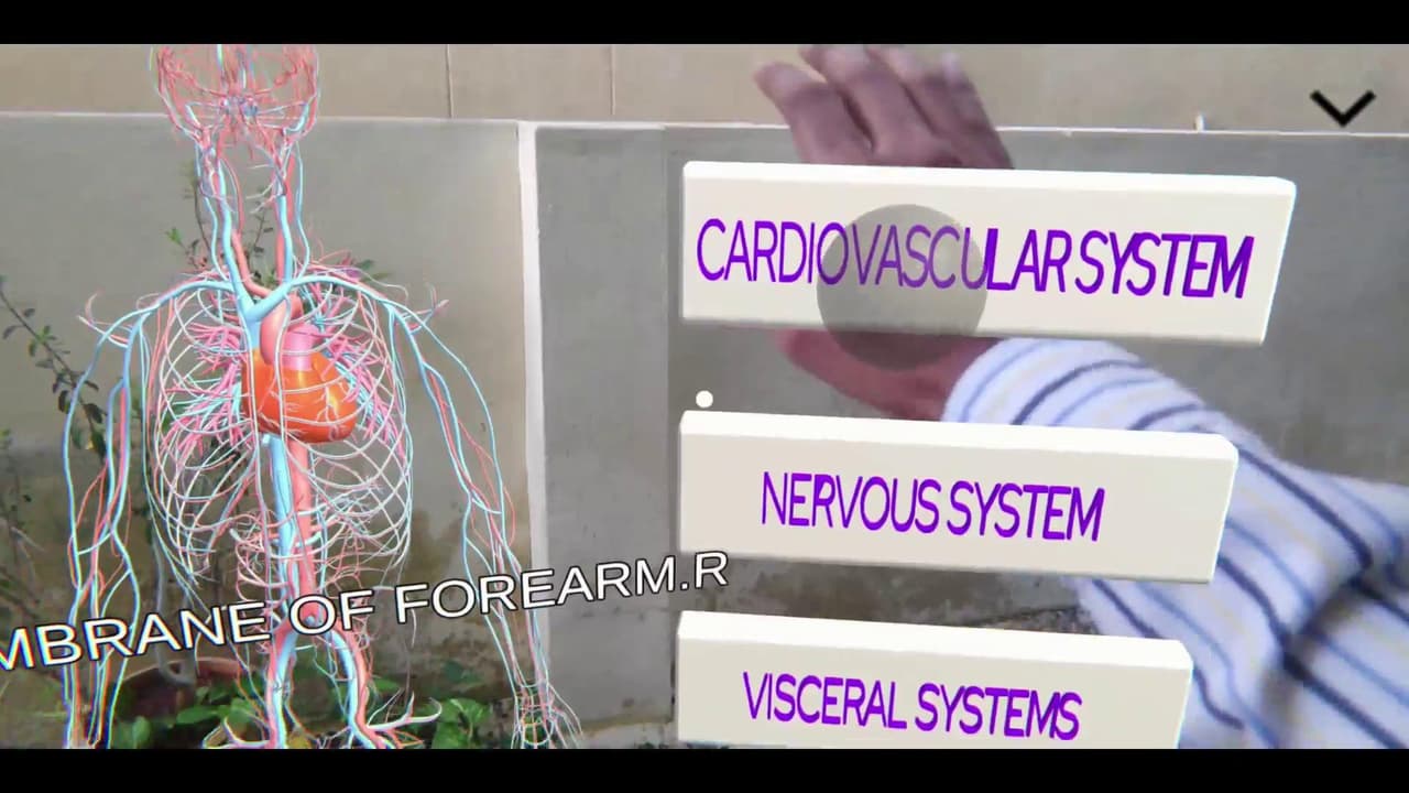 Immersive Human Anatomy