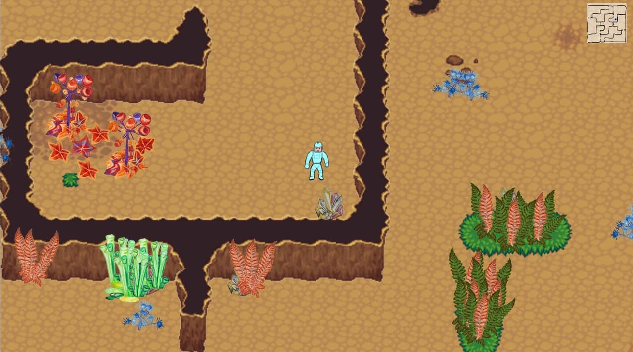 The IntelligenceTest screenshot 2
