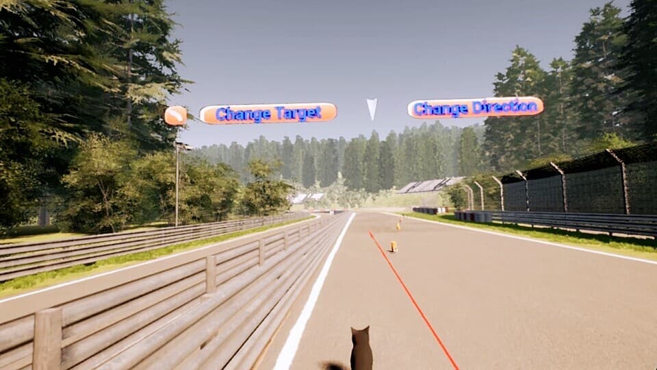 VR Dog Sprint screenshot 3