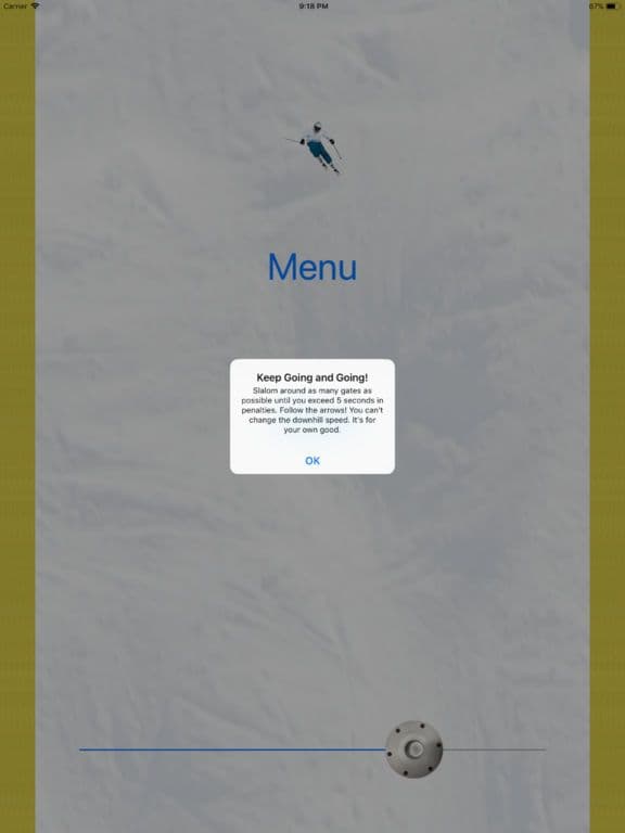 Ski Pro screenshot 5