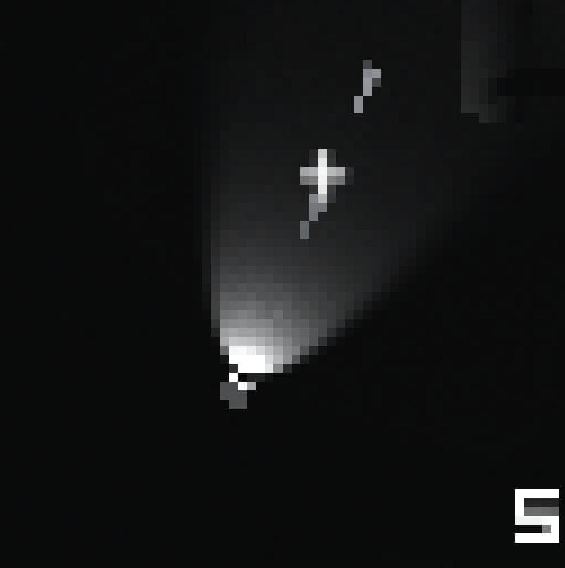 Speck (akirassasin) screenshot 4