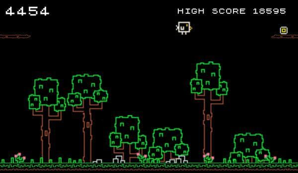 A bird that hates trees