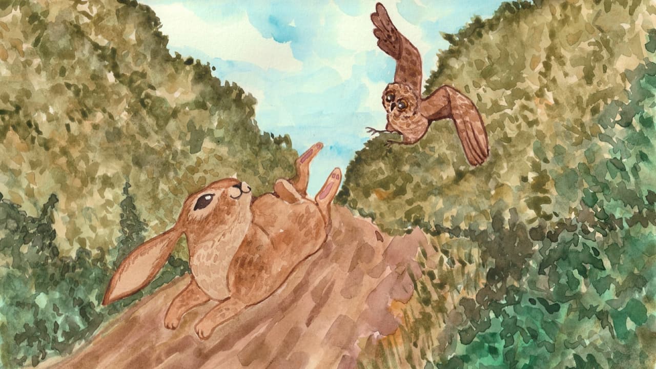 Owl and Bunny