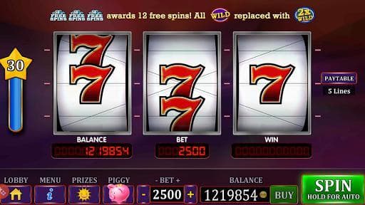 Wild Double Slots: Free Casino Slots Games