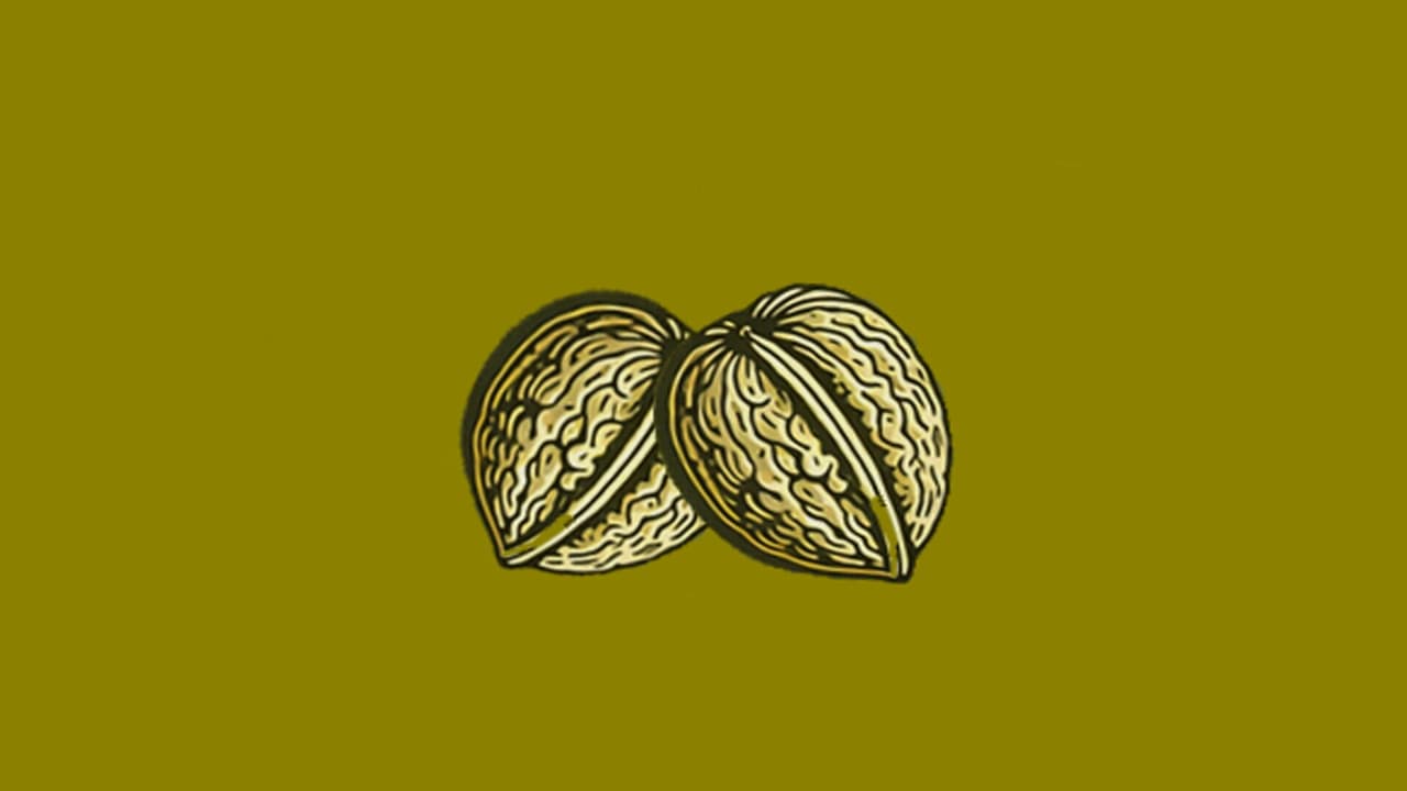 Nuts screenshot 2