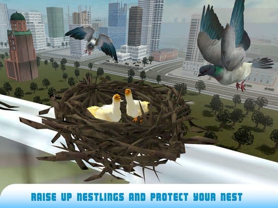 Pigeon Bird Survival Simulator 3D 2 screenshot 4