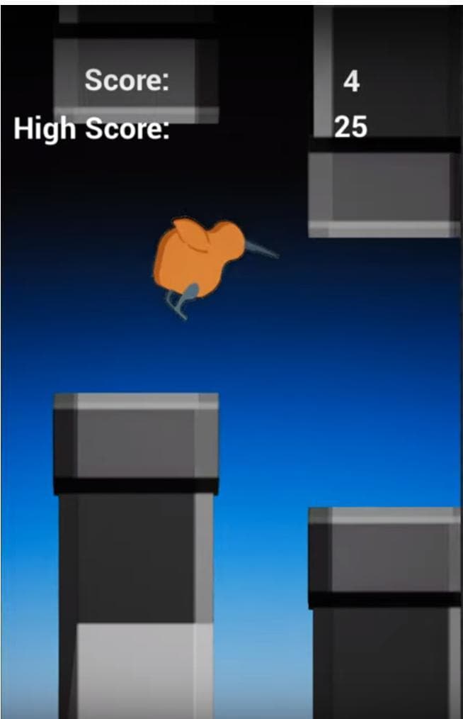 Kiwis Can Fly!