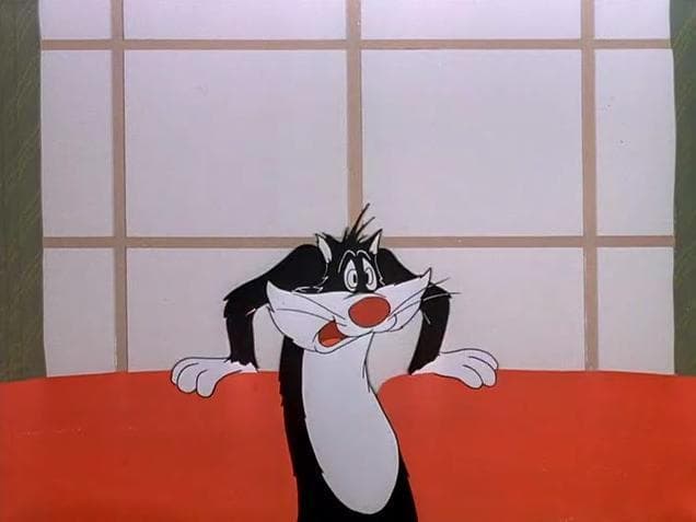 Sylvester Junior RUN