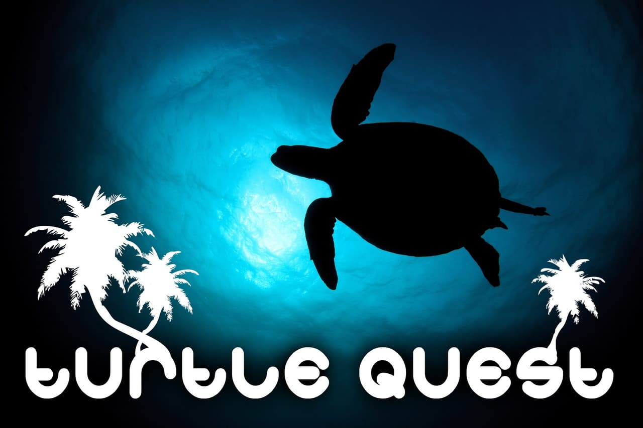 Turtle Quest screenshot 2