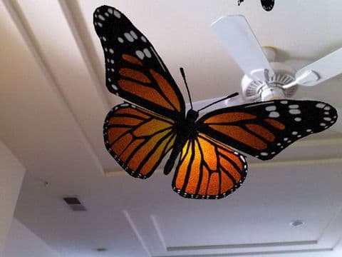 Live Butterflies screenshot 4