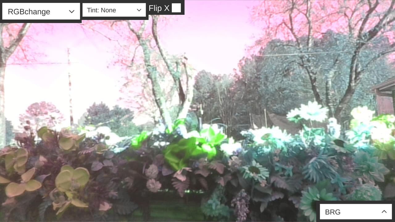Color Filterer