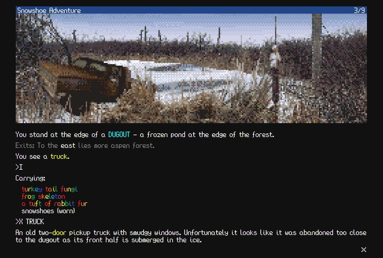 Snowshoe Adventure screenshot 4