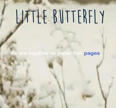 Little Butterfly