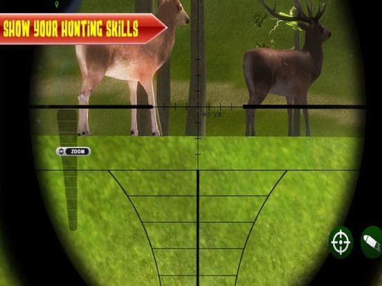 Animals Expert Sniper