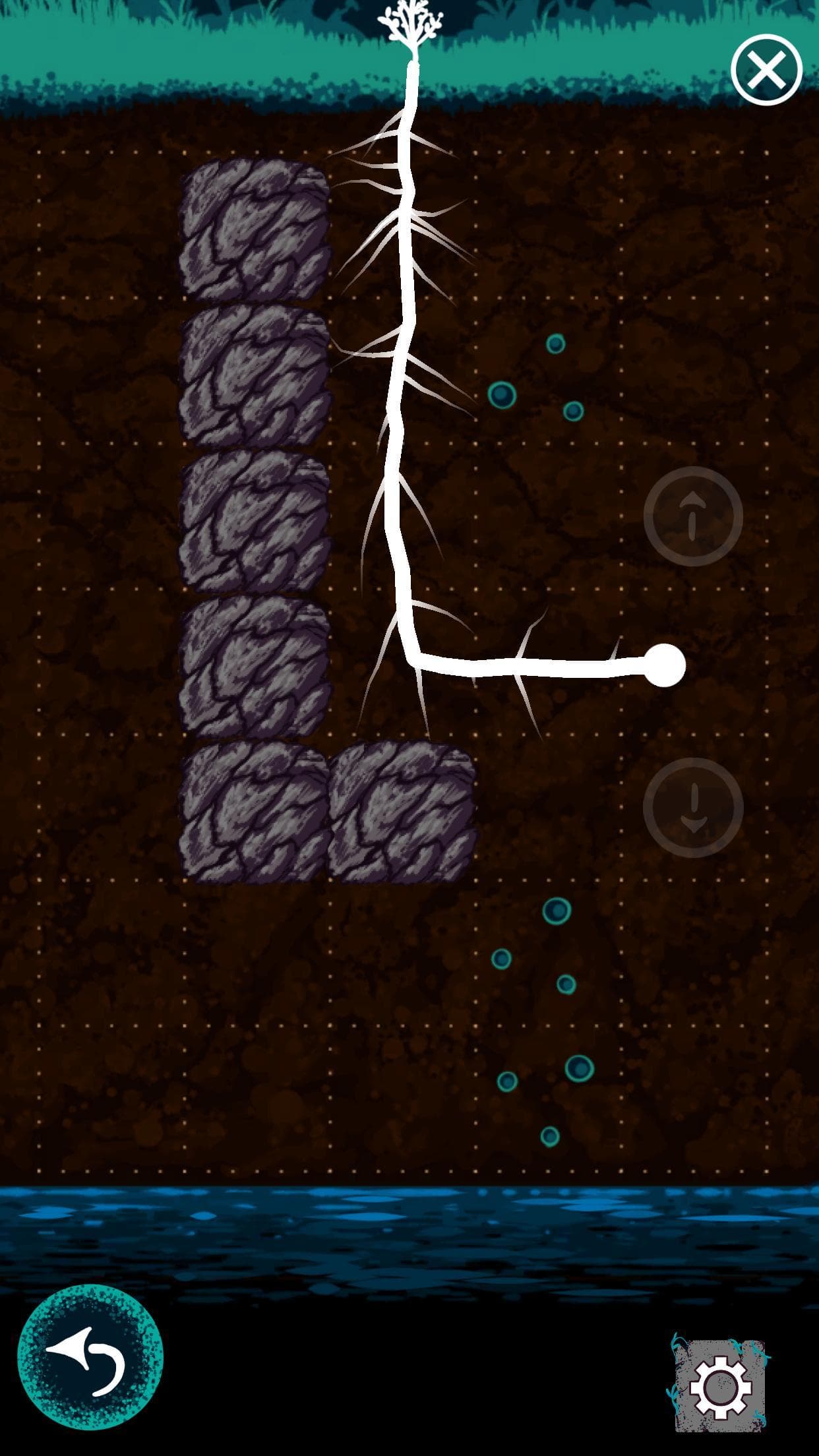 Roots screenshot 2