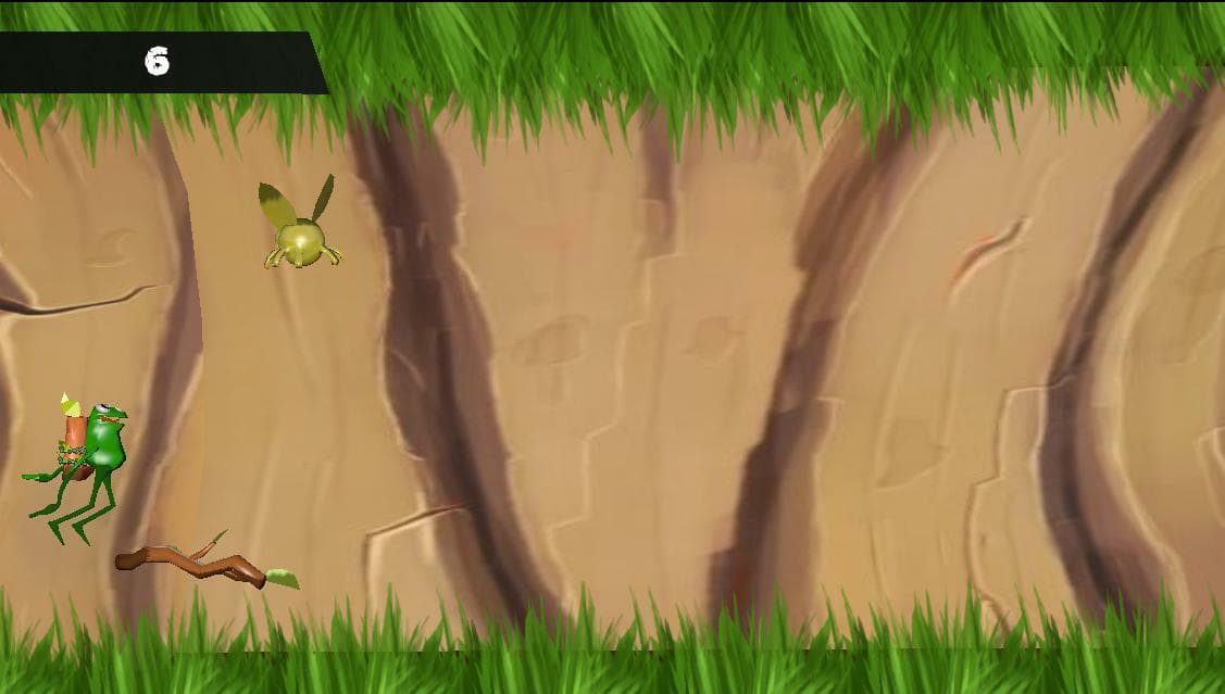 forest frog