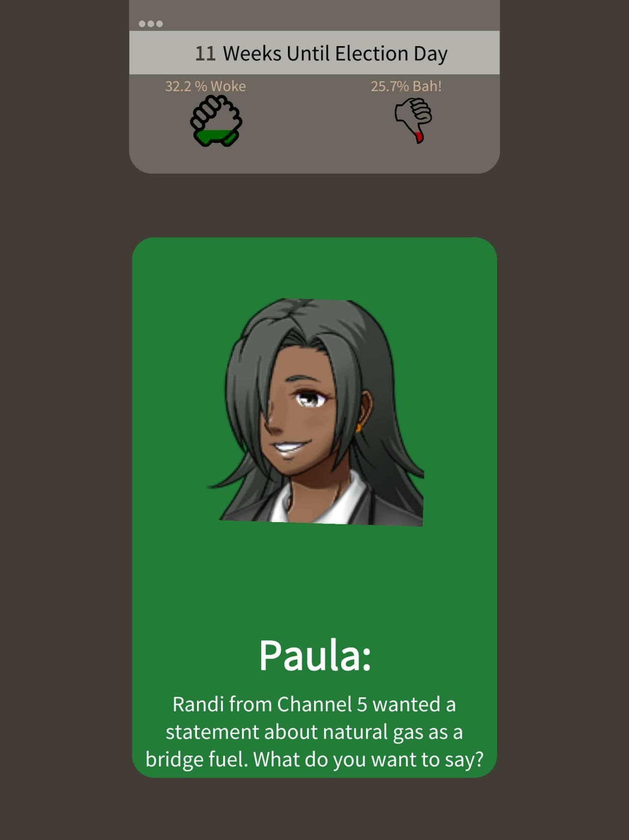 Deal: A Green New Election screenshot 2